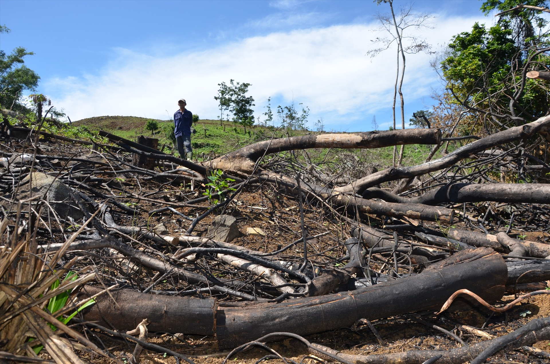 Một vụ đốt rừng tự nhiên để mở rộng đất sản xuất ở khu vực đầu nguồn hồ chứa nước Đông Tiển (Thăng Bình) hồi năm 2021.