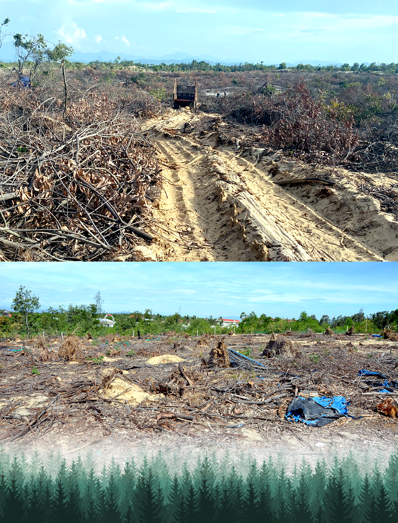 Một số diện tích rừng phòng hộ tại huyện Thăng Bình, Tam Kỳ đã thanh lý dính quy hoạch phân khu chức năng, quy hoạch nghĩa trang nhân dân, phá triển công nghiệp nên không thể trồng lại rừng thay thế.
