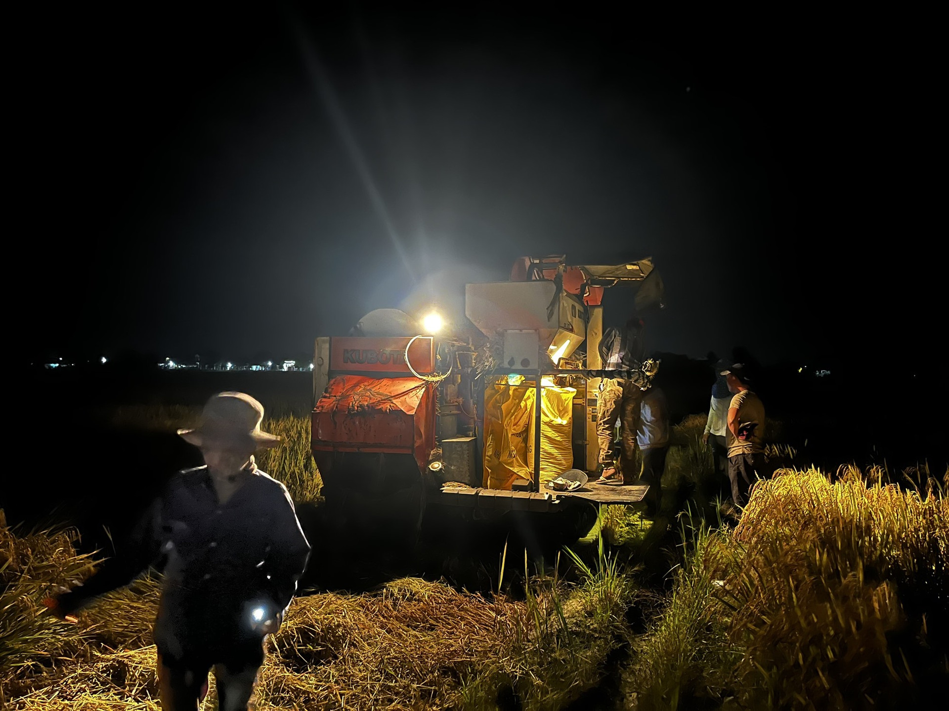 Những ngày qua, chính quyền xã Điện Phước (Điện Bàn) huy động máy gặt ban đêm để đẩy nhanh tiến độ thu hoạch lúa.   Ảnh: M.L