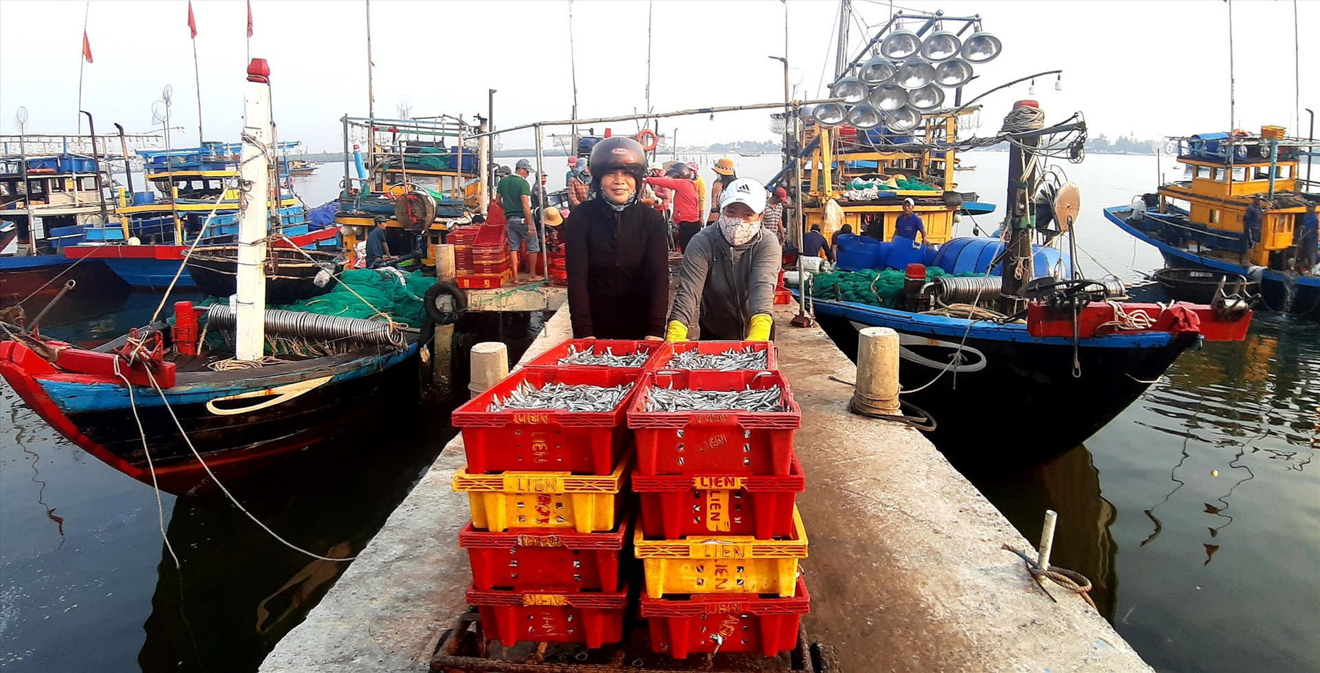 Trong 4 tháng đầu năm nay, tổng sản lượng hải sản ngư dân Quảng Nam đánh bắt đạt 29.168 tấn các loại, tăng 941 tấn so với cùng kỳ năm 2021. Ảnh: P.V
