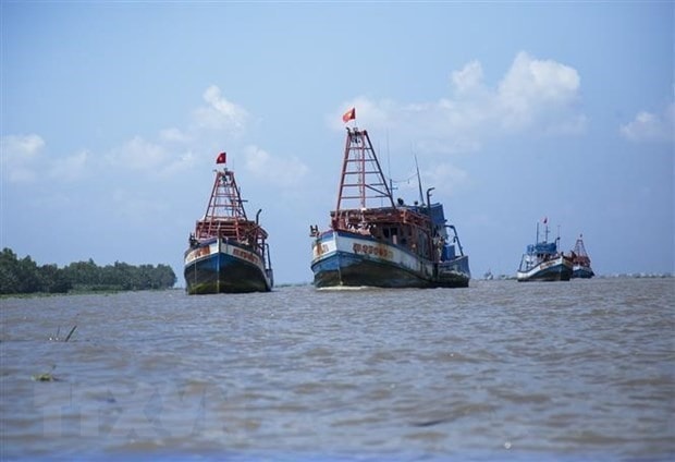 Illustrative image (Photo: VNA)