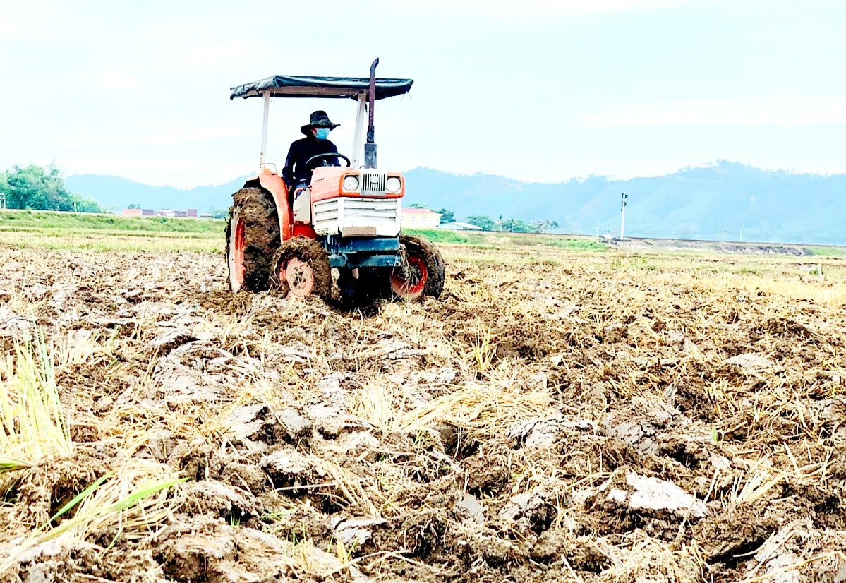 Những ngày qua, nông dân nhiều địa phương khẩn trương làm đất để chuẩn bị gieo sạ vụ lúa hè thu 2022. Ảnh: MAI NHI