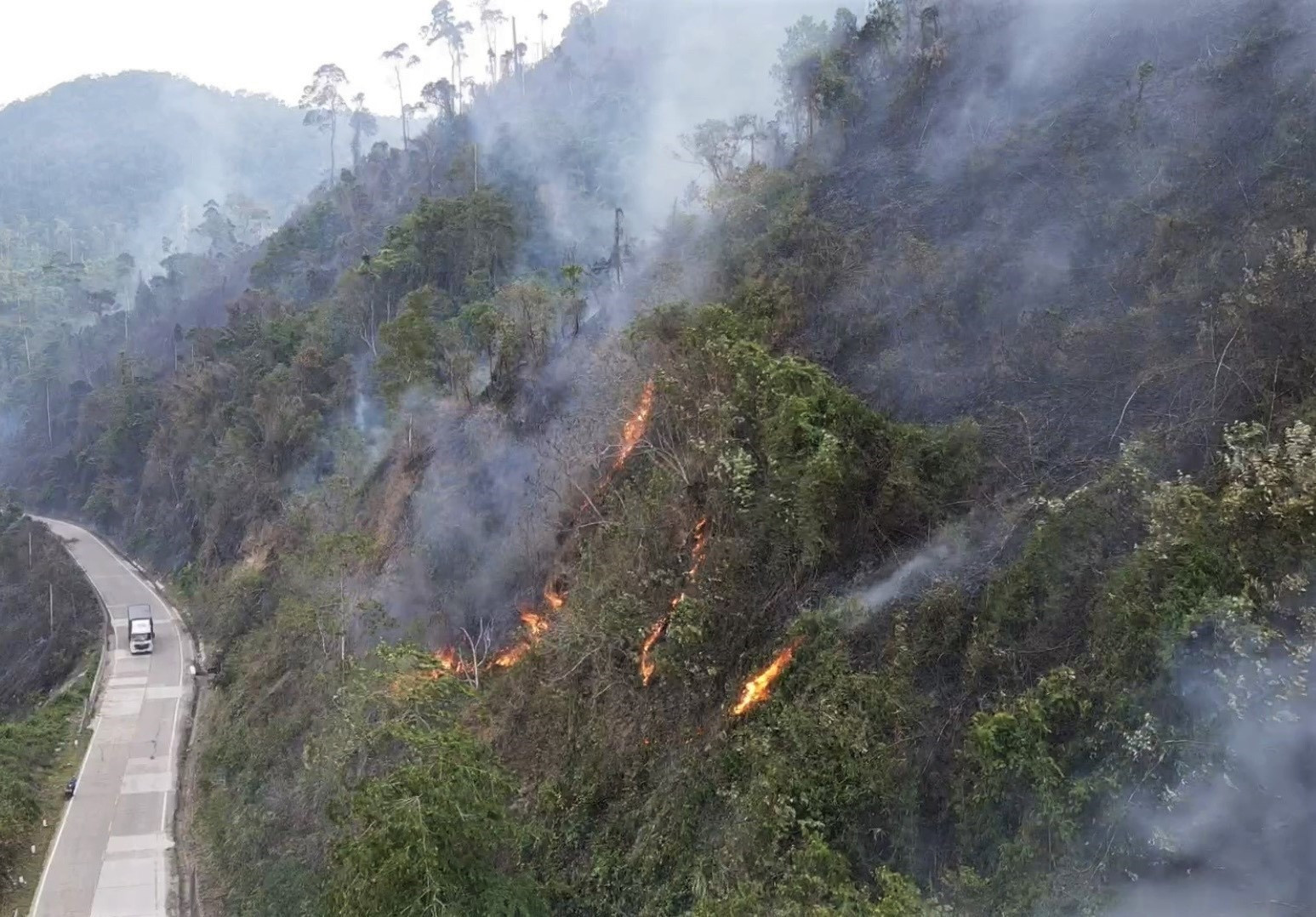 Một vụ cháy rừng tại địa bàn miền núi. ẢNH: T.Y