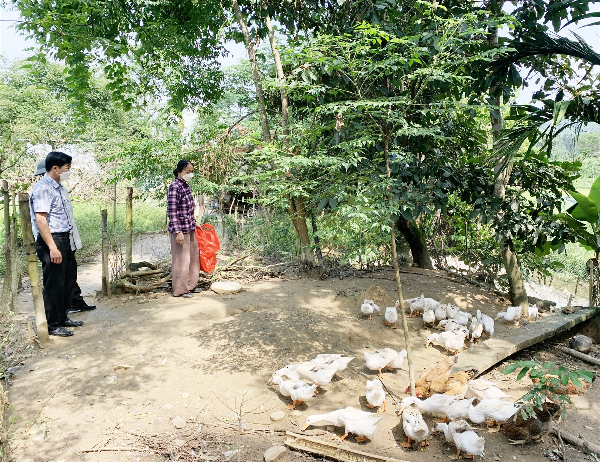 Tham quan mô hình chăn nuôi tại thôn Dương Hòa, xã Trà Sơn. Ảnh: TÚ VÂN