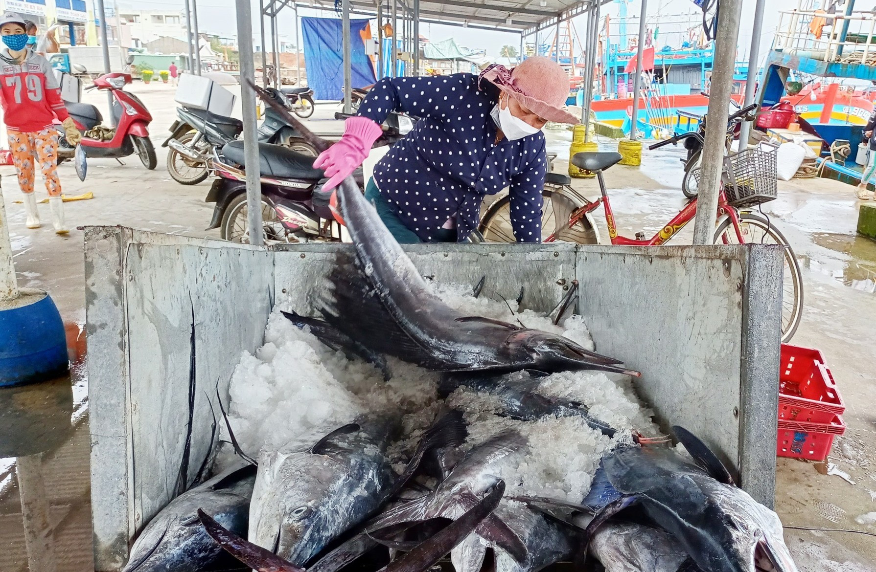 Cá khai thác được tiêu thụ ở cảng cá Tam Quang. Ảnh: VĂN PHIN