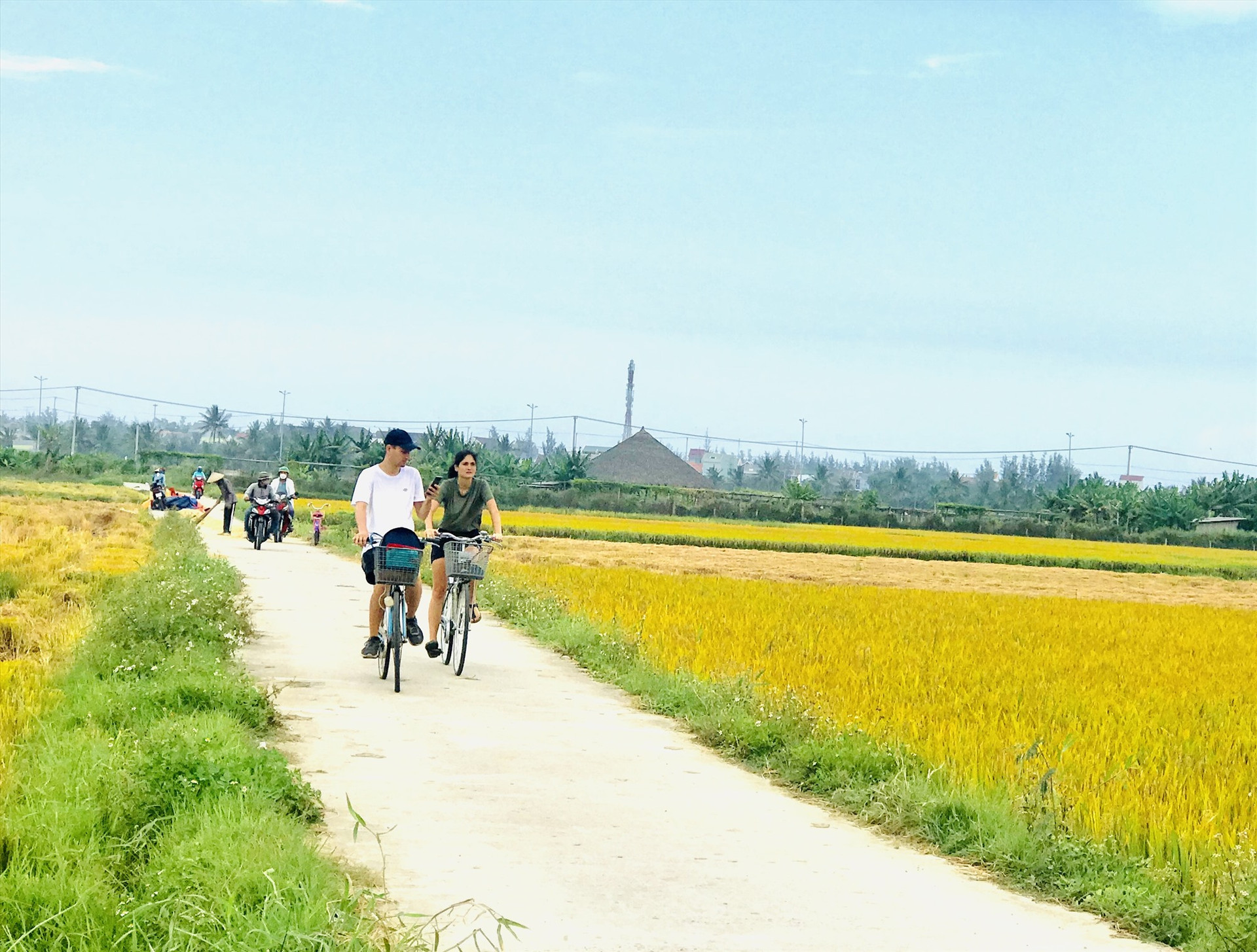 Du khách quốc tế rất thích không gian xanh, chứa đựng nhiều giá trị văn hóa ở Quảng Nam. Ảnh: Q.T