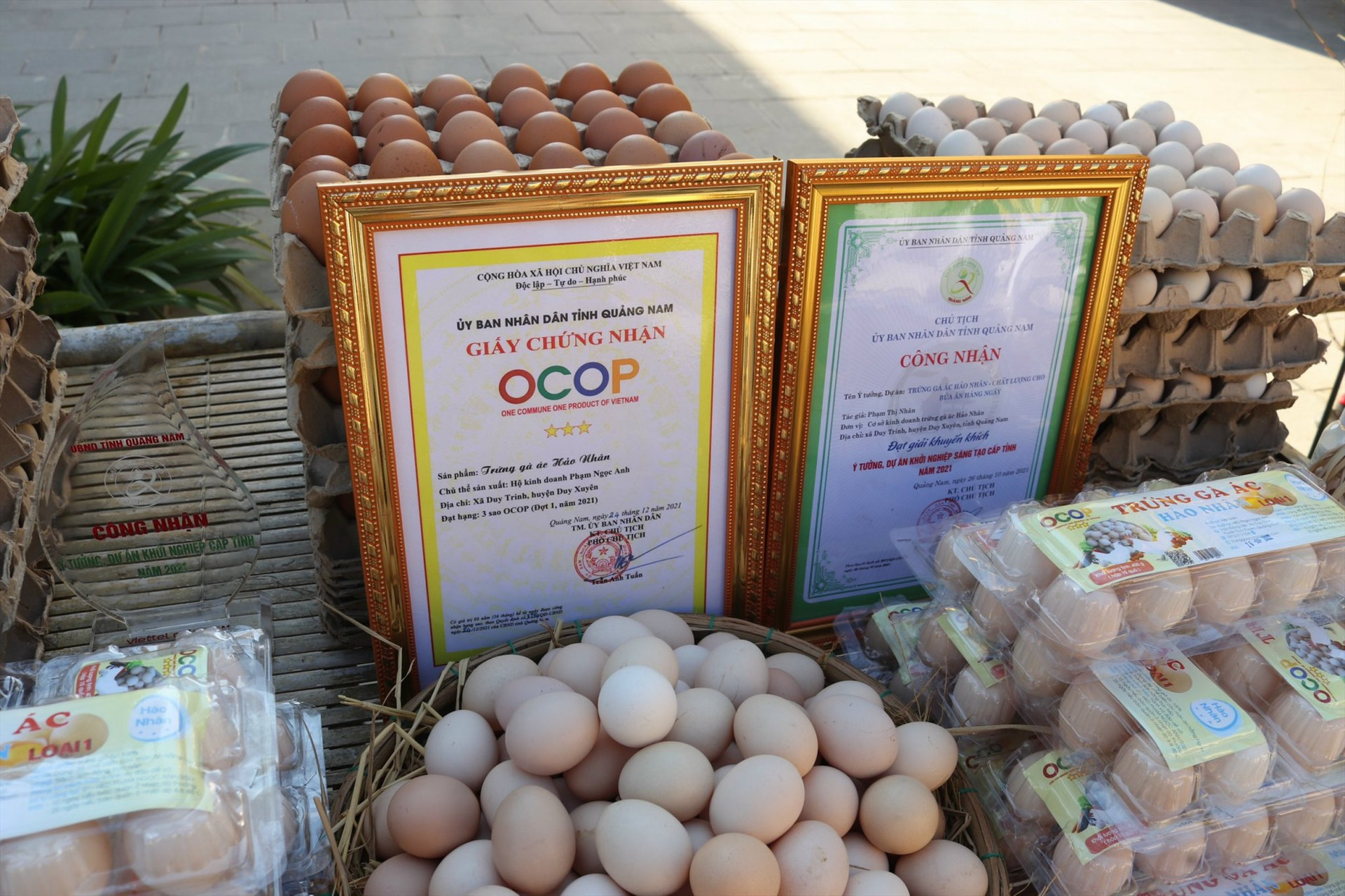 Sản phẩm trứng gà ác thương hiệu Hảo Nhân được công nhận đạt tiêu chuẩn OCOP 3 sao. Ảnh: N.Q