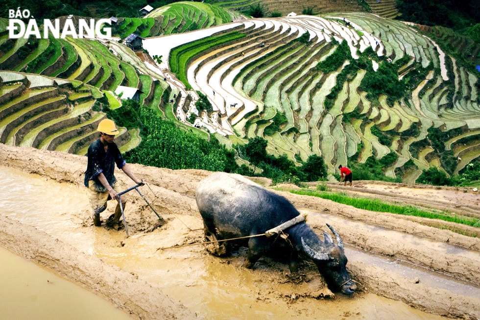 Cày ruộng ở La Pán Tẩn.