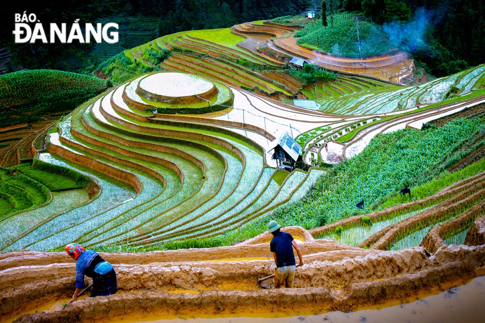 Làm đất trên đồi Mâm Xôi.