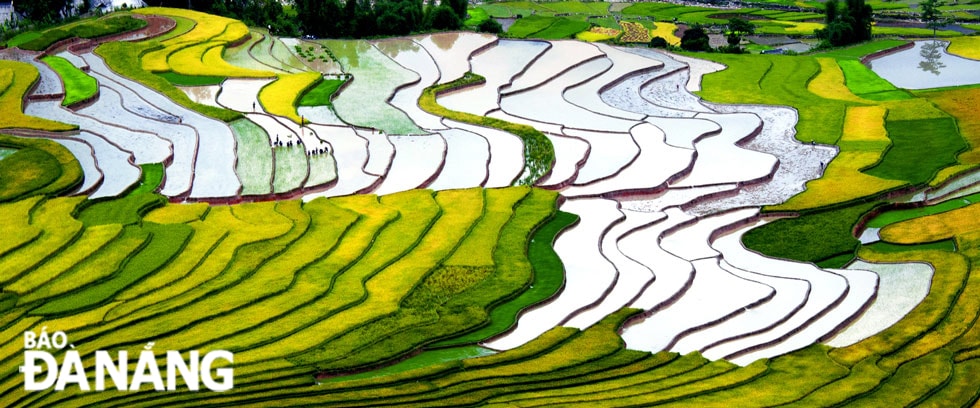 Mùa đổ nước ở Tú Lệ.