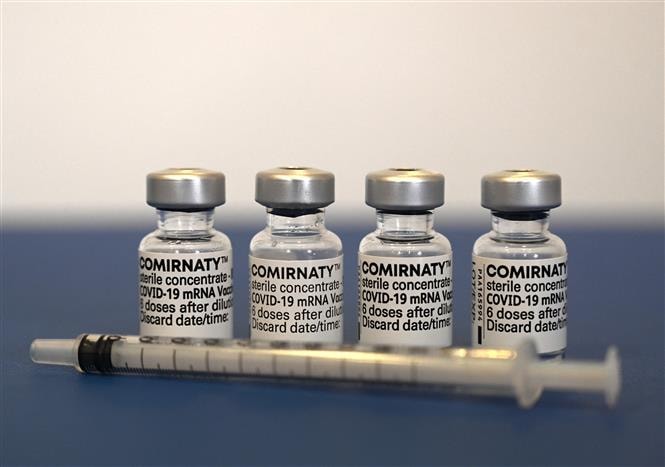 Vaccine phòng Covid-19 của Pfizer/BioNTech. Ảnh: AFP/TTXVN