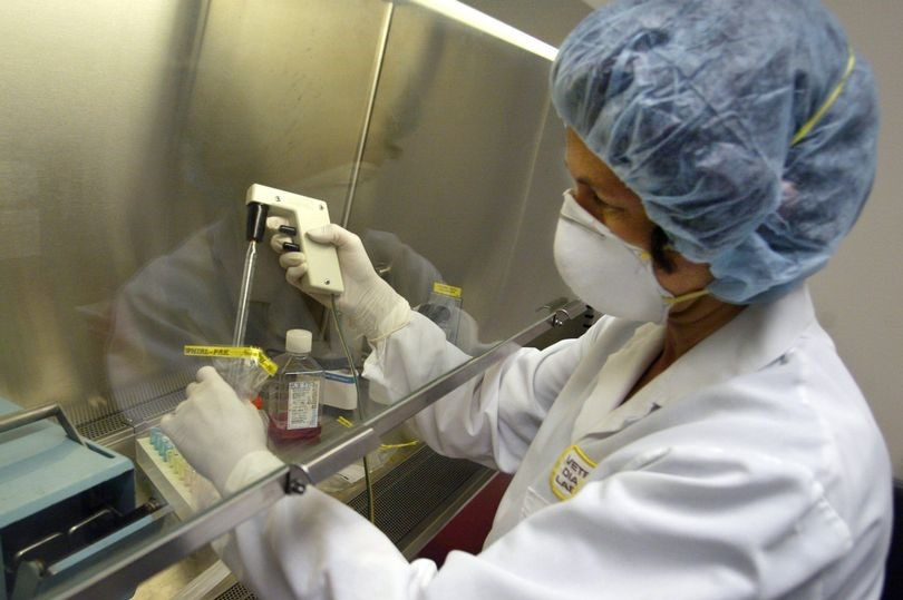 Xét nghiệm sàn lọc vi rút gây bệnh đậu mùa khỉ. Ảnh: Gettyimages