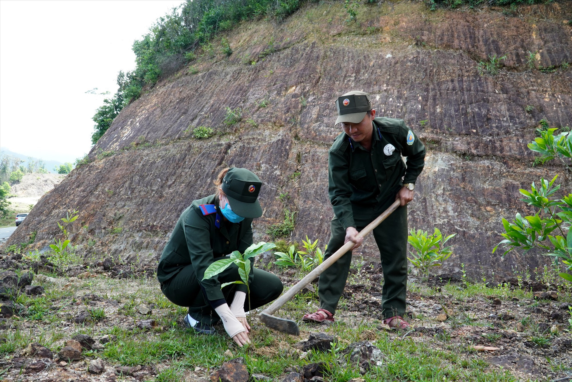 Các thành viên Ban quản lý Khu bảo tồn loài và sinh cảnh voi Nông Sơn tích cực trồng, chăm sóc cây. Ảnh: H.Q