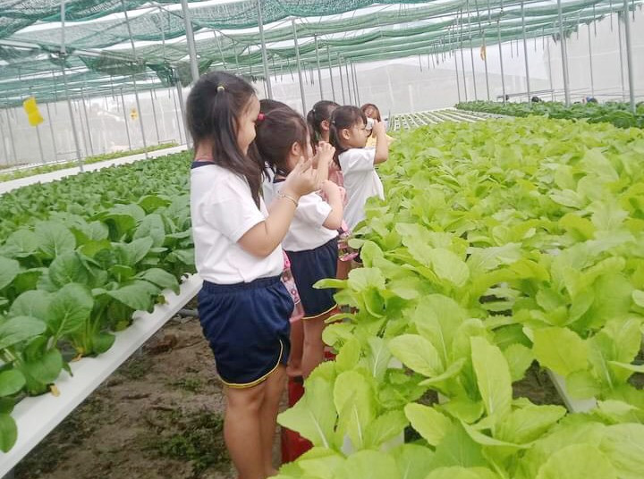 Học sinh Trường Mần non xã Bình Phục tham quan vườn rau.