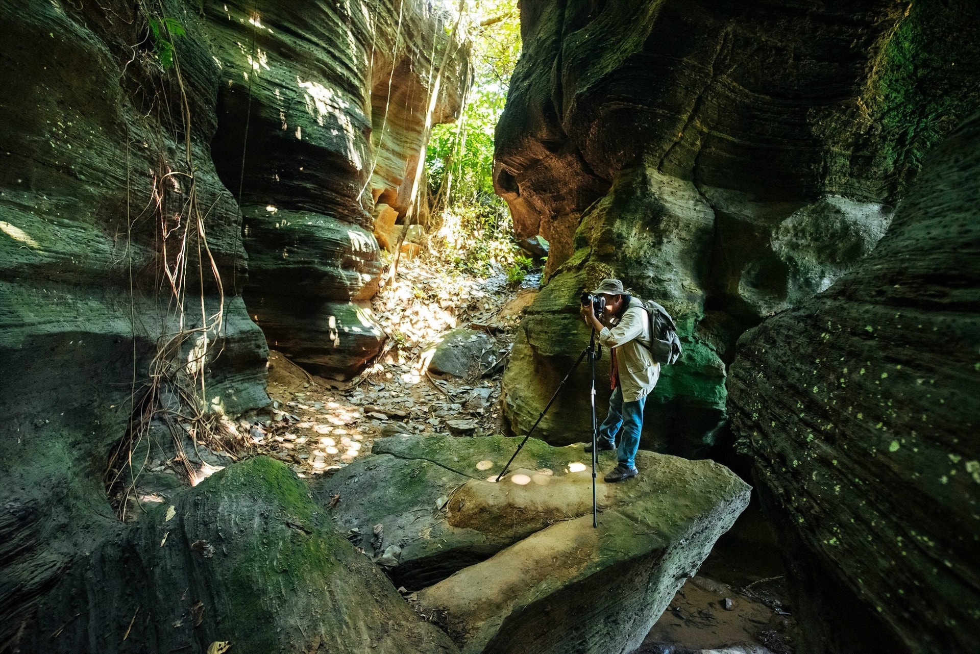 A corner of Doi Cave