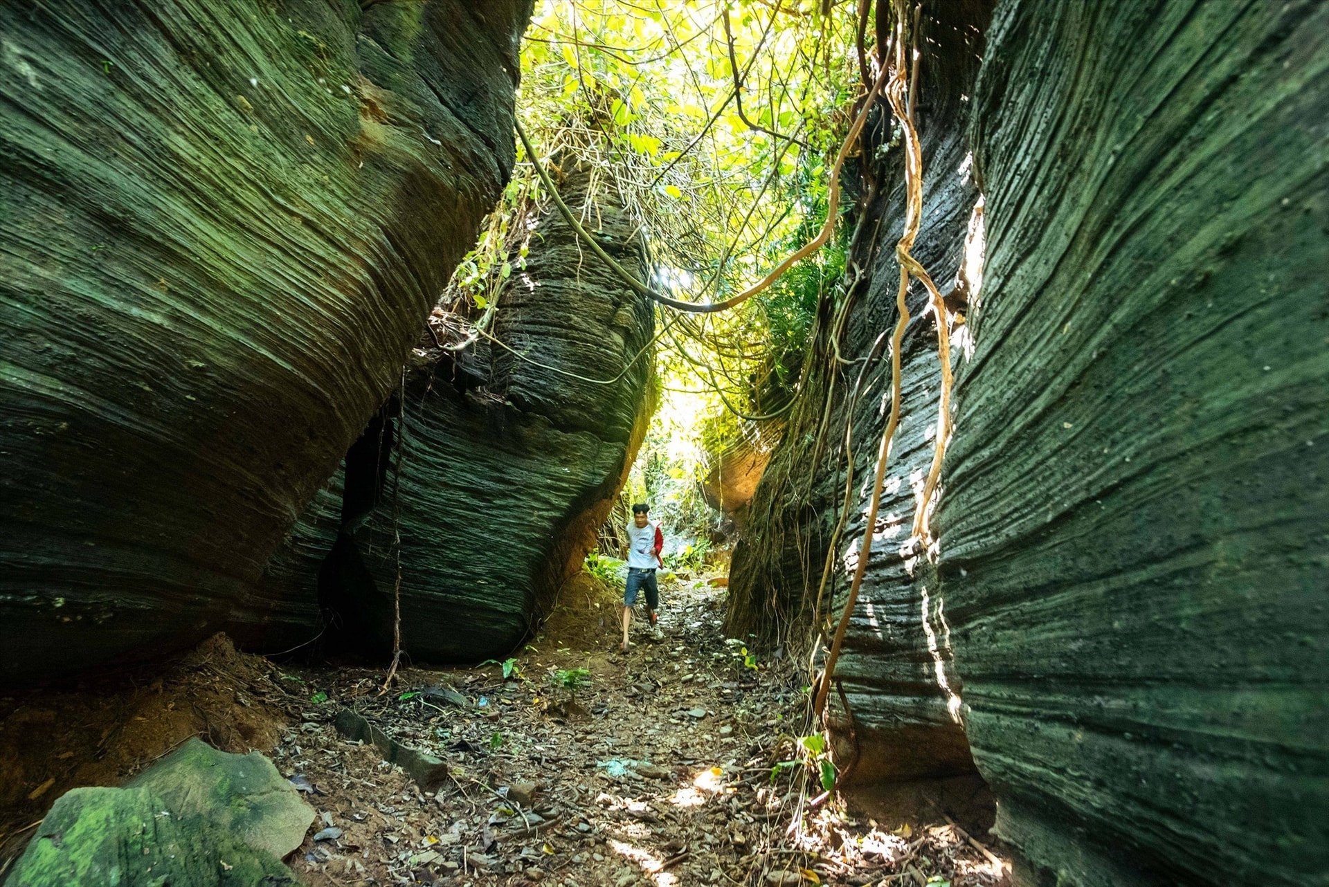 Doi Cave looks like the forestry setting of a movie