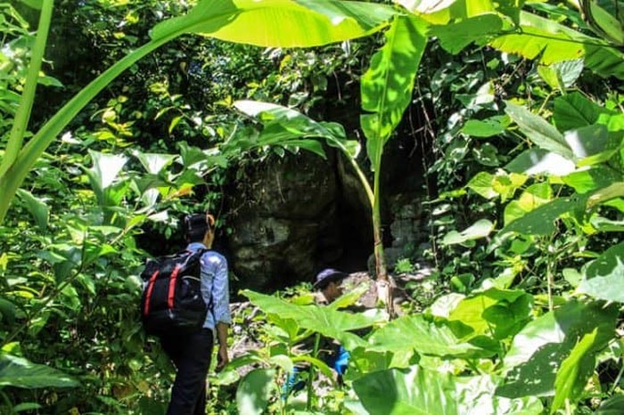 The cliffs of the Cave is over 10-metre high covered with vines and green moss. Photo: vntrip