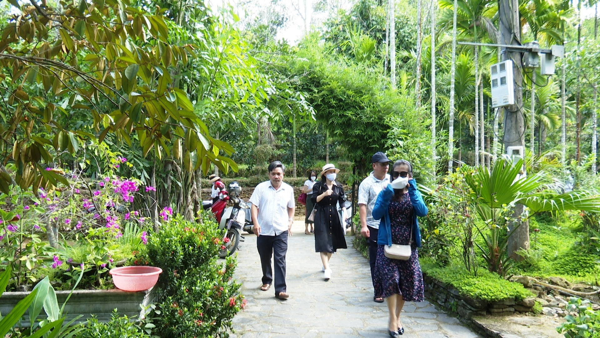 Đoàn đi khảo sát thực tế các điểm du lịch xanh tại làng cổ Lộc Yên. Ảnh: N.HƯNG