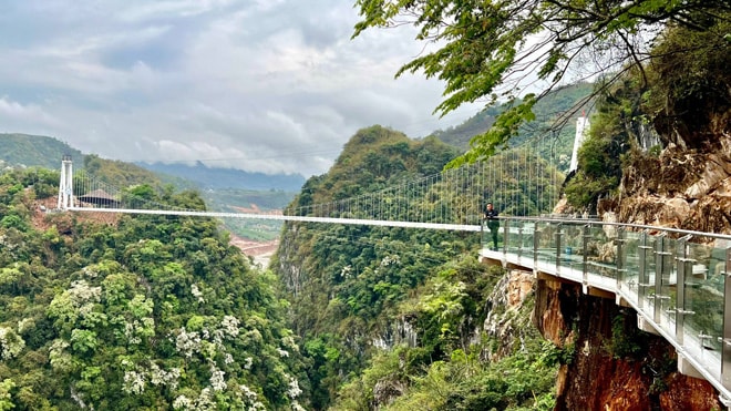 Du khách chụp ảnh trên đường đi bộ cầu Bạch Long ở huyện Mộc Châu, tỉnh Sơn La.