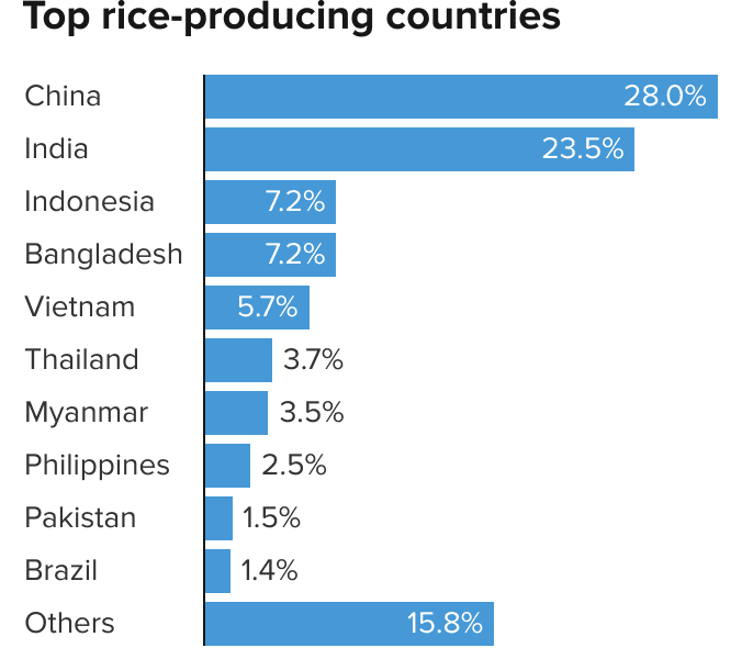 Top các quốc gia có sản lượng lúa gạo lớn trên thế giới.