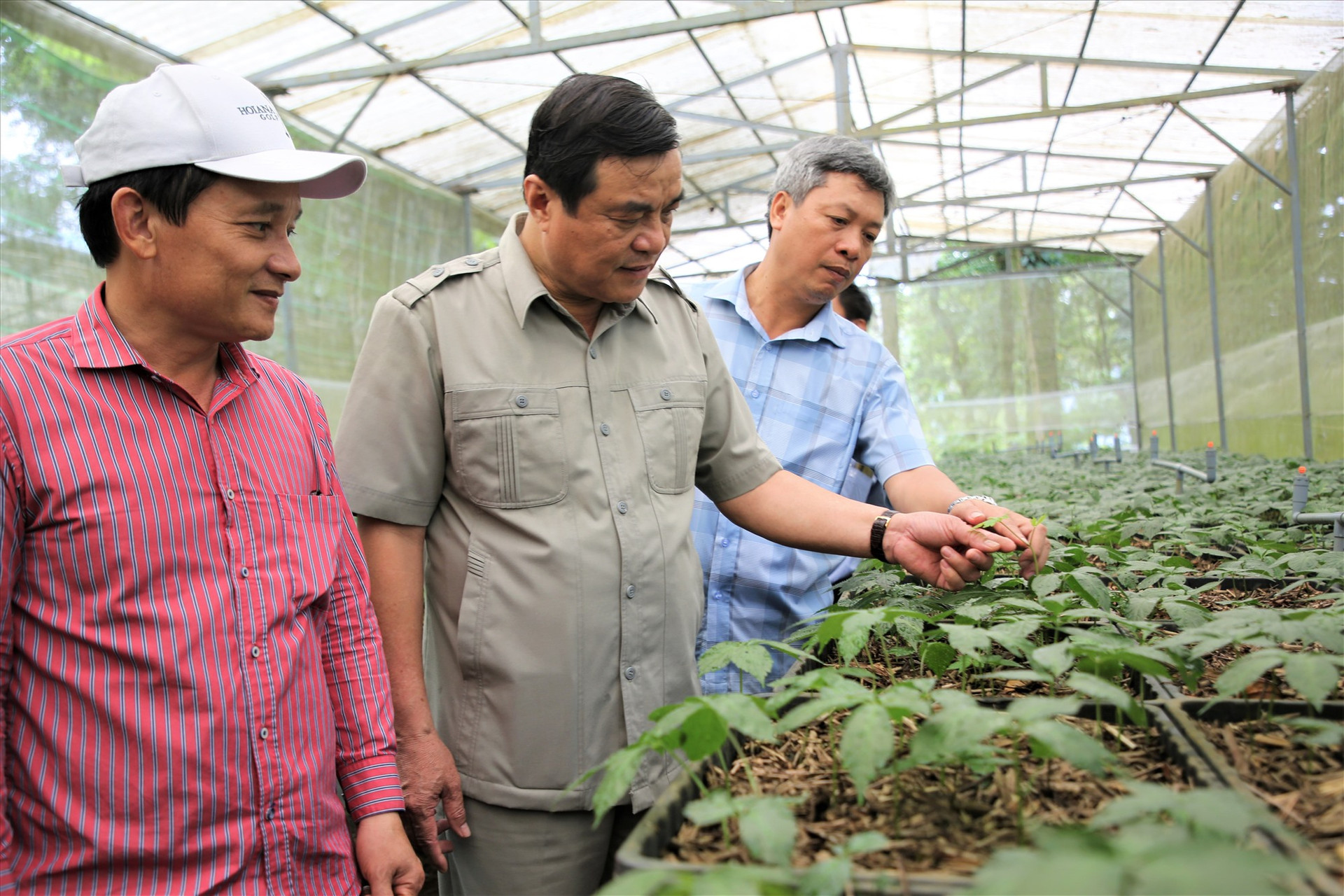 Đoàn công tác thăm mô hình ươm trồng cây giống tại Trạm Dược liệu Trà Linh. Ảnh: N.L