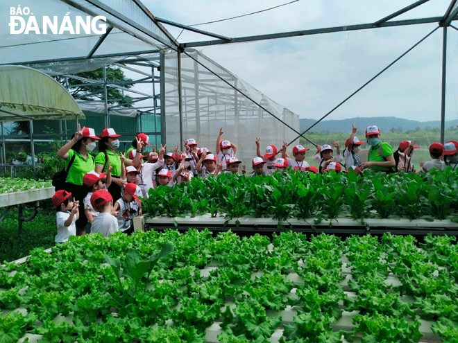 Du lịch nông nghiệp, một loại hình du lịch nông thôn đang thu hút khách tham quan tại huyện Hòa Vang. Trong ảnh: Học sinh tham quan, trải nghiệm du lịch nông nghiệp tại Hợp tác xã dịch vụ sản xuất và tiêu thụ rau an toàn Túy Loan. Ảnh: H.H