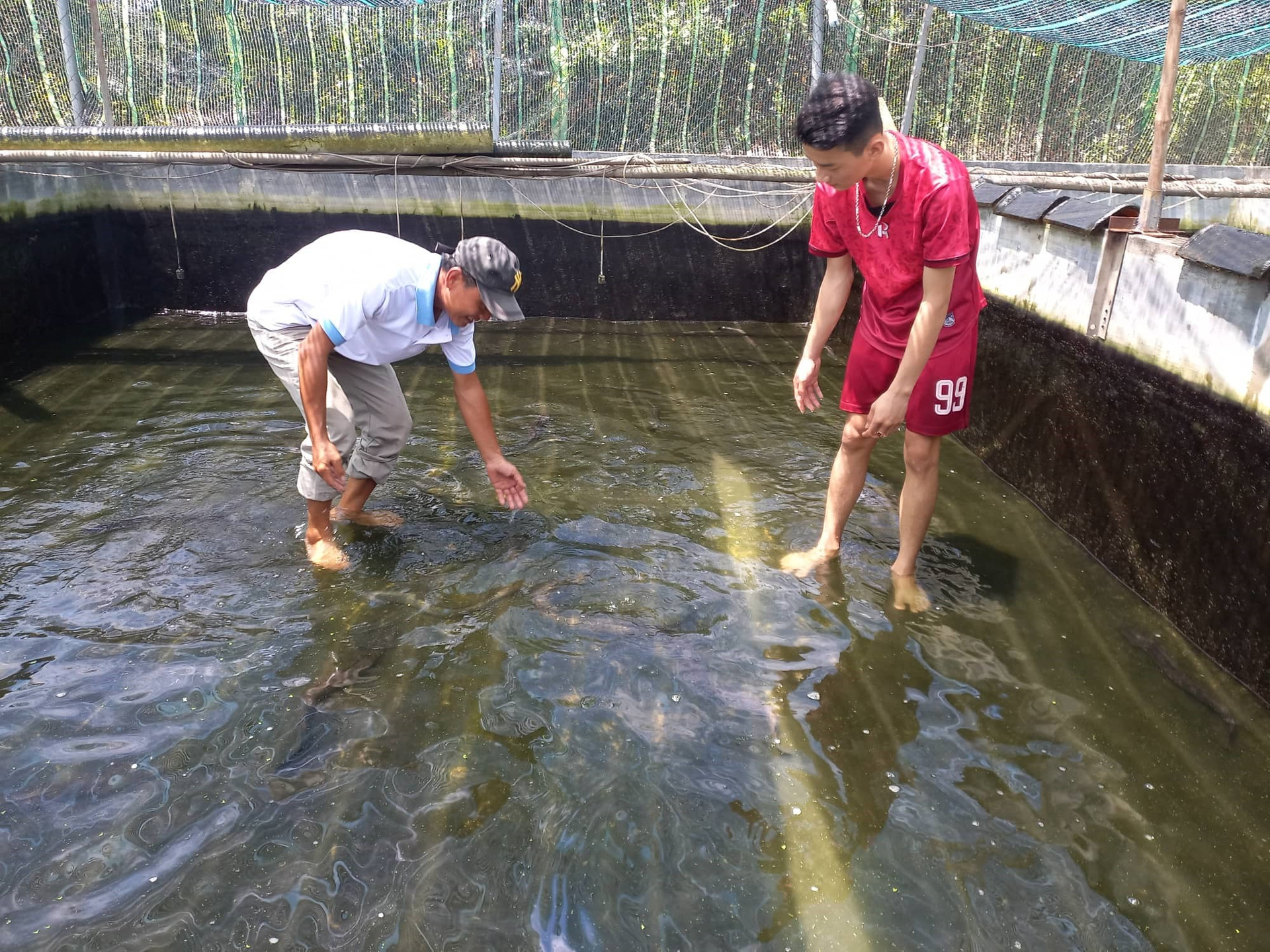 Mô hình nuôi cá chình của ông Trần Văn Thành cho hiệu quả kinh tế khả quan. ảnh DT