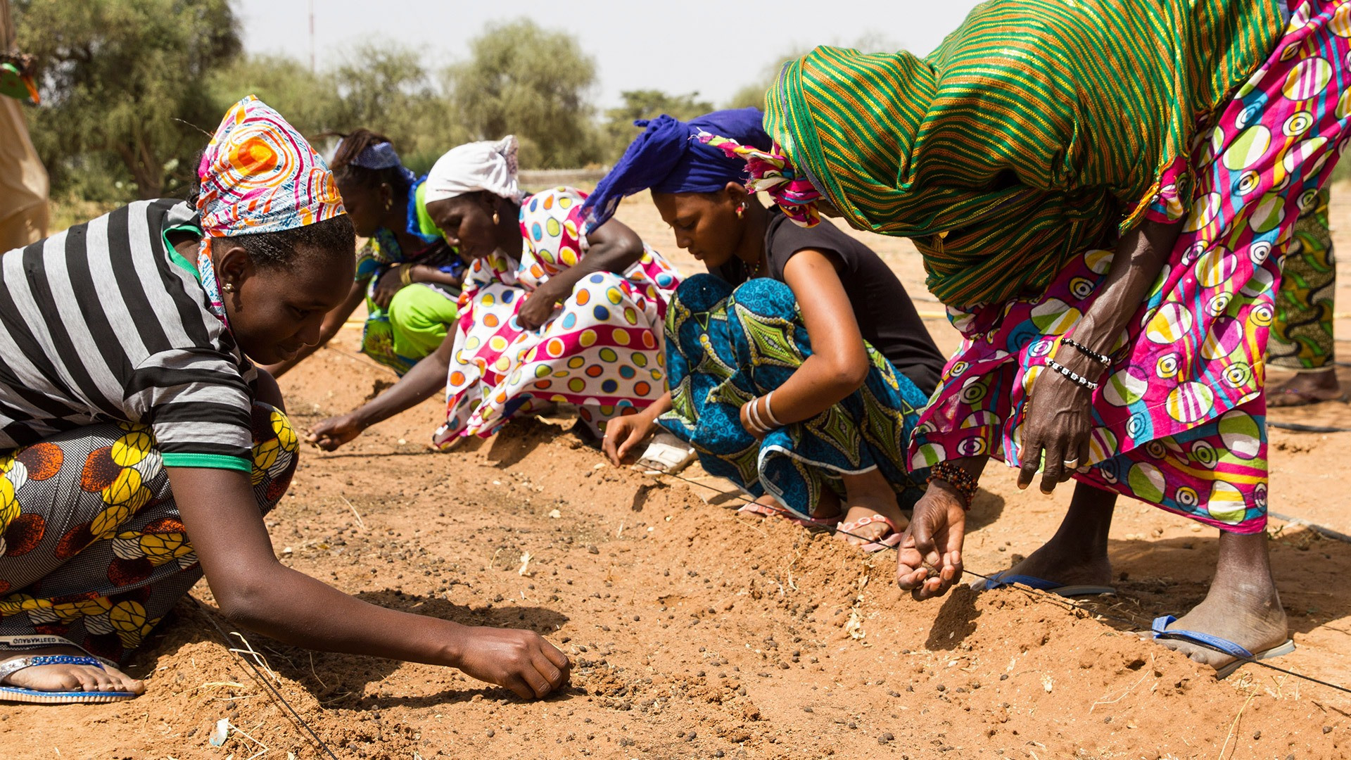 Nông dân châu Phi học cách gieo trồng cây lương thực ứng phó với biến đổi khí hậu. Ảnh: innovationnewsnetwork