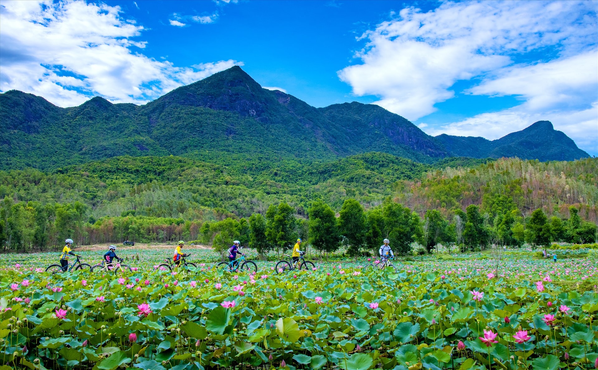 Du lịch những năm đầu tái lập tỉnh gần như là con số không trong nền kinh tế Quảng Nam; giờ đây, Quảng Nam đã hiện diện nổi bật trên bản đồ du lịch cả nước. Ảnh: L.T.K