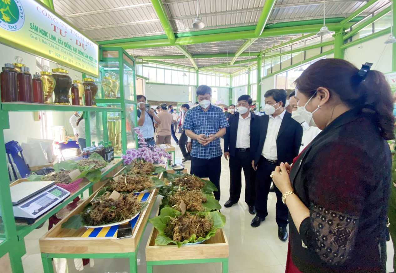 Phó Chủ tịch UBND tỉnh Hồ Quang Bửu dự phiên chợ sâm Ngọc Linh tại Nam Trà My dịp đầu xuân 2022.