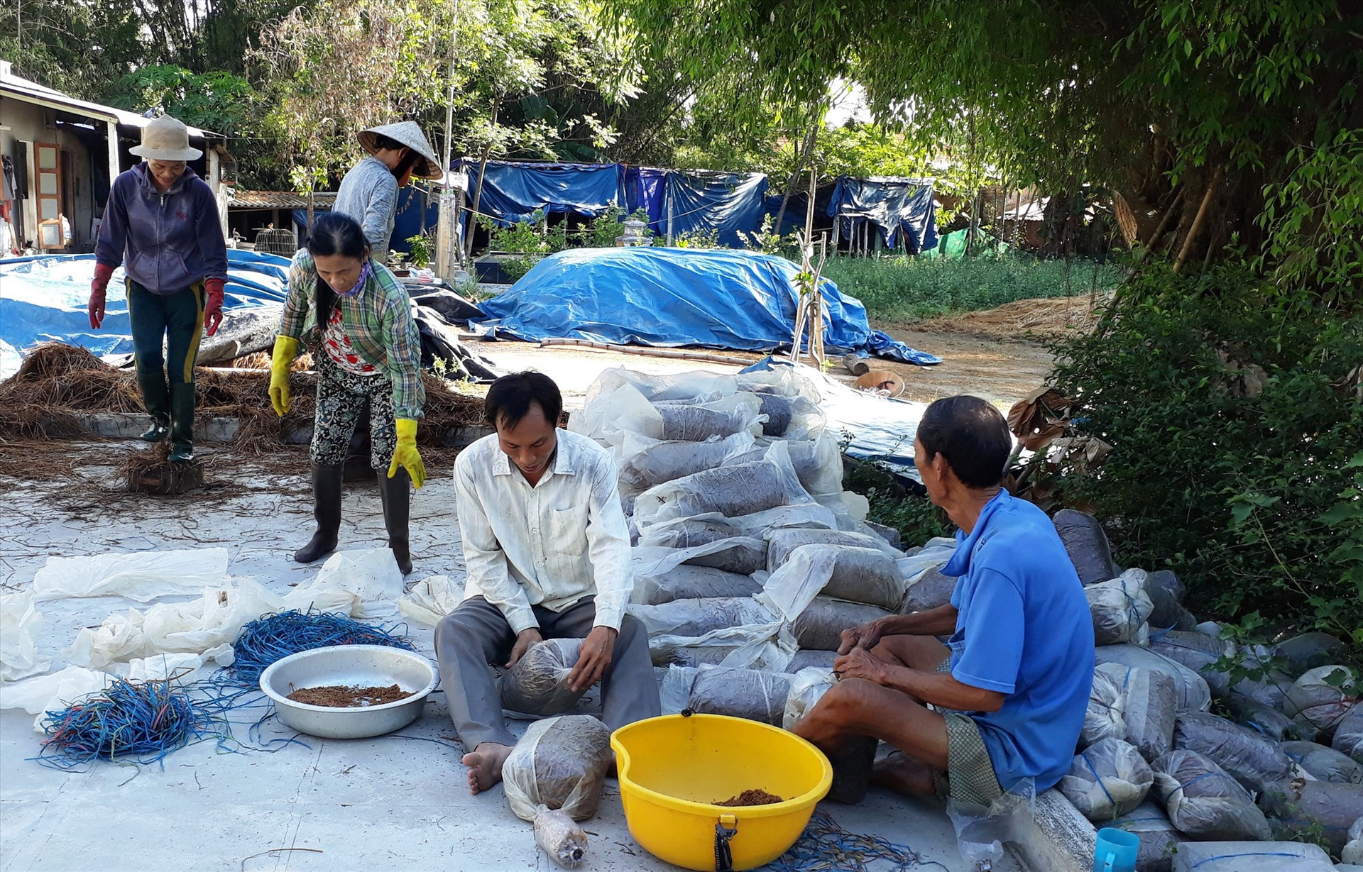 Trong 10 năm qua, nhiều hợp tác xã và tổ hợp tác được quỹ hỗ trợ nguồn vốn ưu đãi để có điều kiện đầu tư phát triển sản xuất - kinh doanh.   Ảnh: MAI NHI