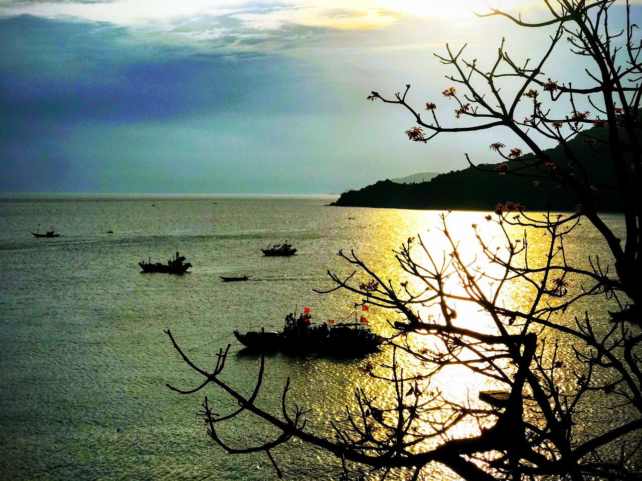 Going to Cham Islands during the festival, visitors have chances to admire the beauty of Firmiana Simplex flowers, contemplate the sunrise and sunset on the islands, immerse themselves in the blue sea to see corals, visit natural landscapes, and enjoy fresh seafood there.
