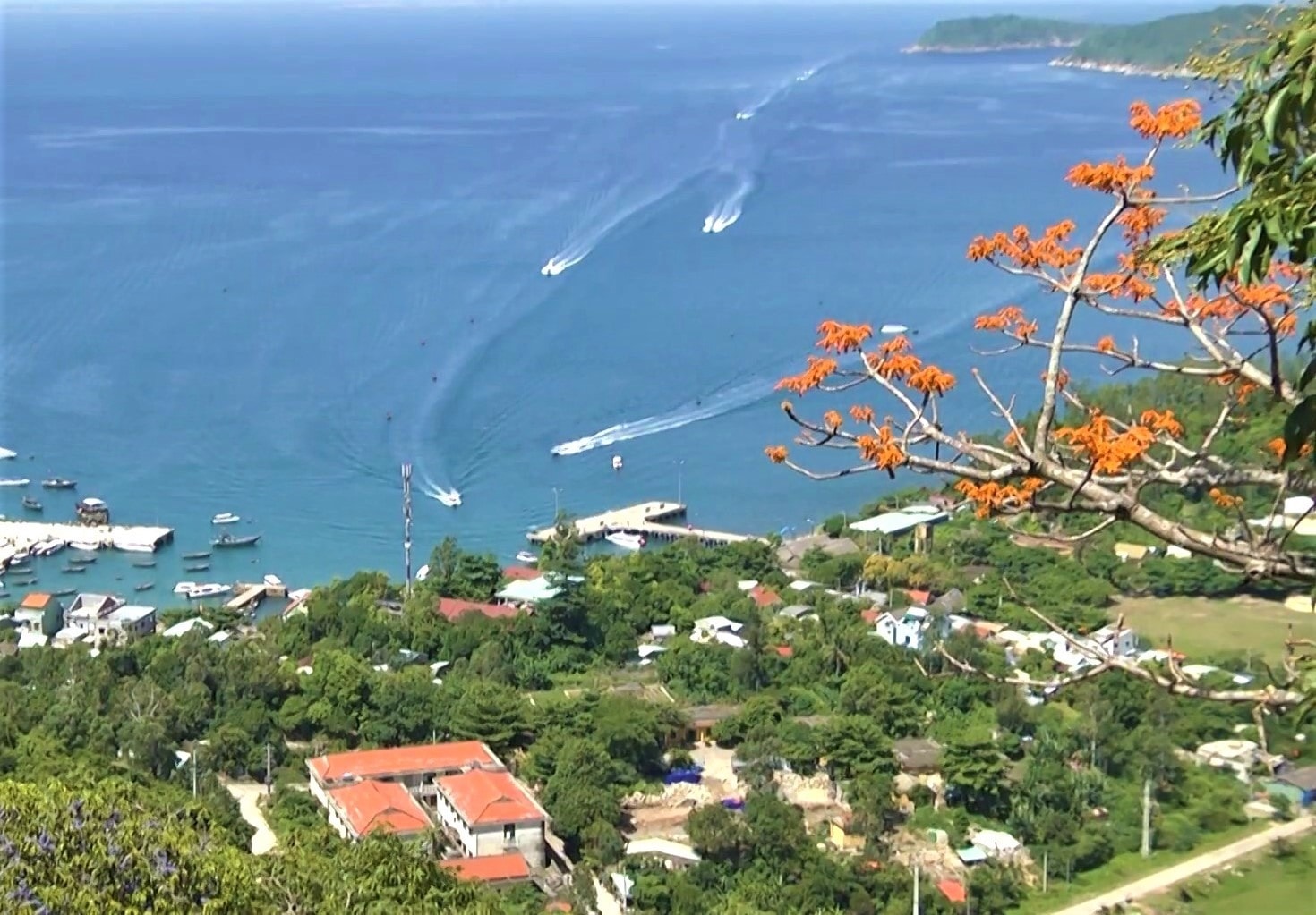 Cham Islands, Hoi An city