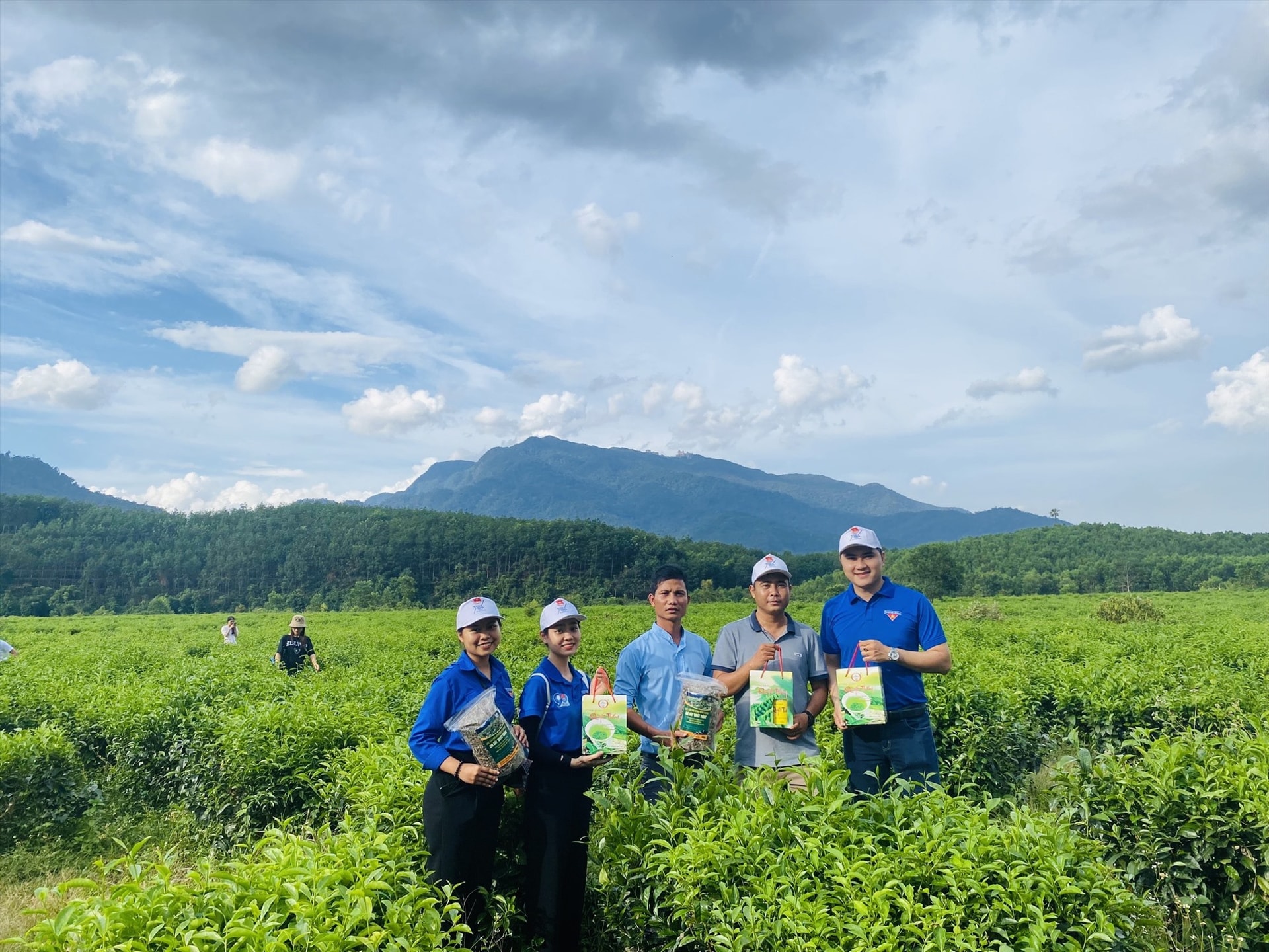 Quyet Thang tea hill