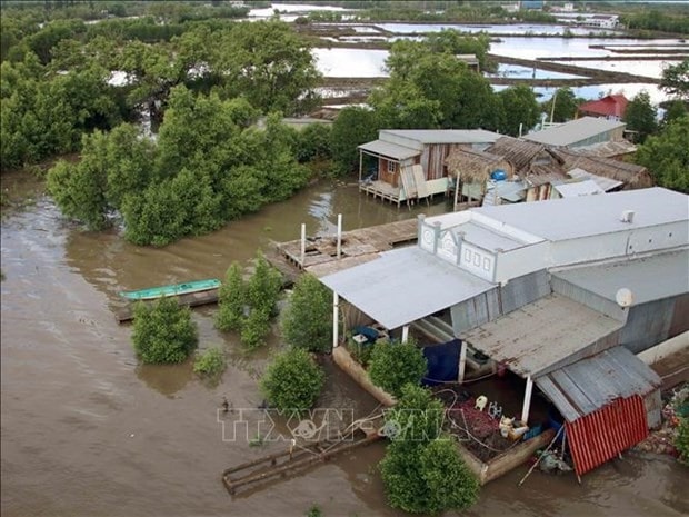 Houses adaptive to climate change in the southernmost province of Ca Mau. (Photo: VNA)