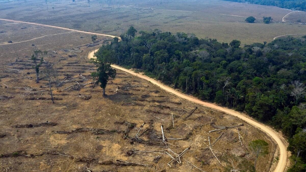 Một góc rừng Amazon bị phá trui, Ảnh: AFP