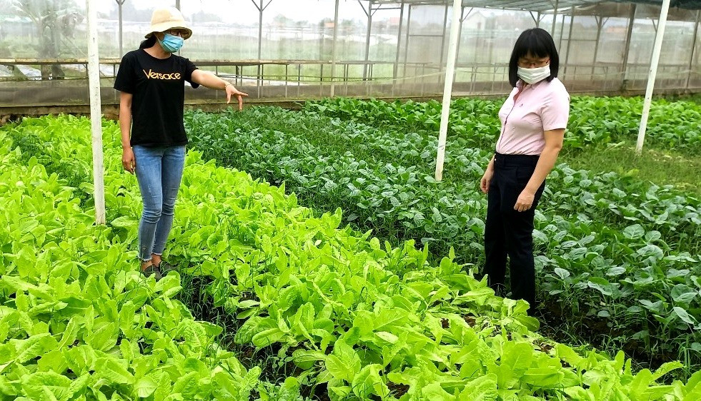 Tín dụng chính sách trên địa bàn huyện Phú Ninh là động lực giảm nghèo bền vững. Ảnh: Q.VIỆT