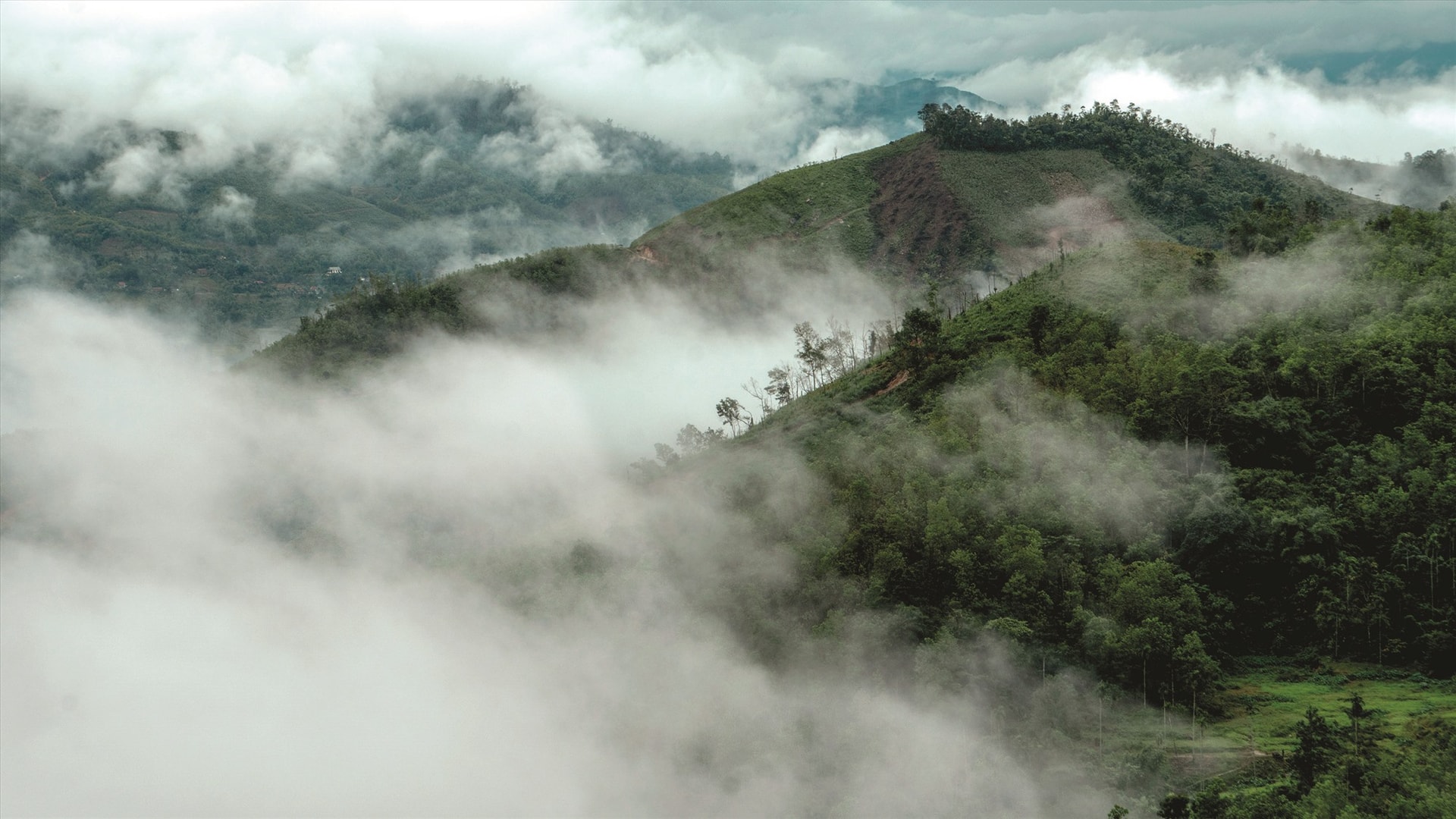 Nhấp nhô sương núi.