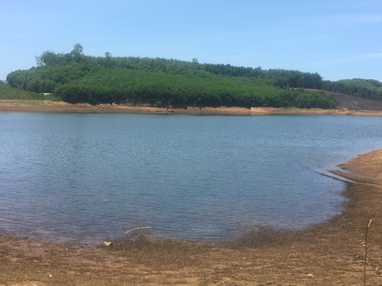 Công trình chứa nước hồ Thái Xuân không chỉ cung cấp nước tưới mà còn đa dạng về hệ động thực vật. Ảnh: N.Q