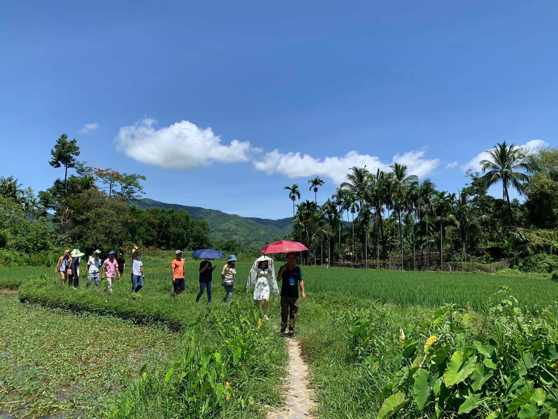 Đoàn famtrip tham quan, khảo sát tại Làng cổ Lộc Yên (huyện Tiên Phước).