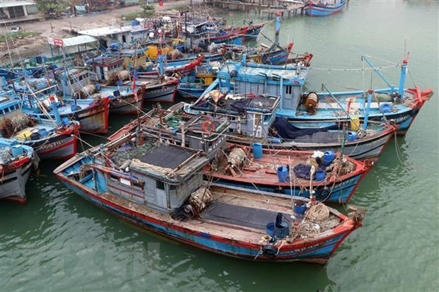 Fishing boats in Da Nang city (Photo: VNA)