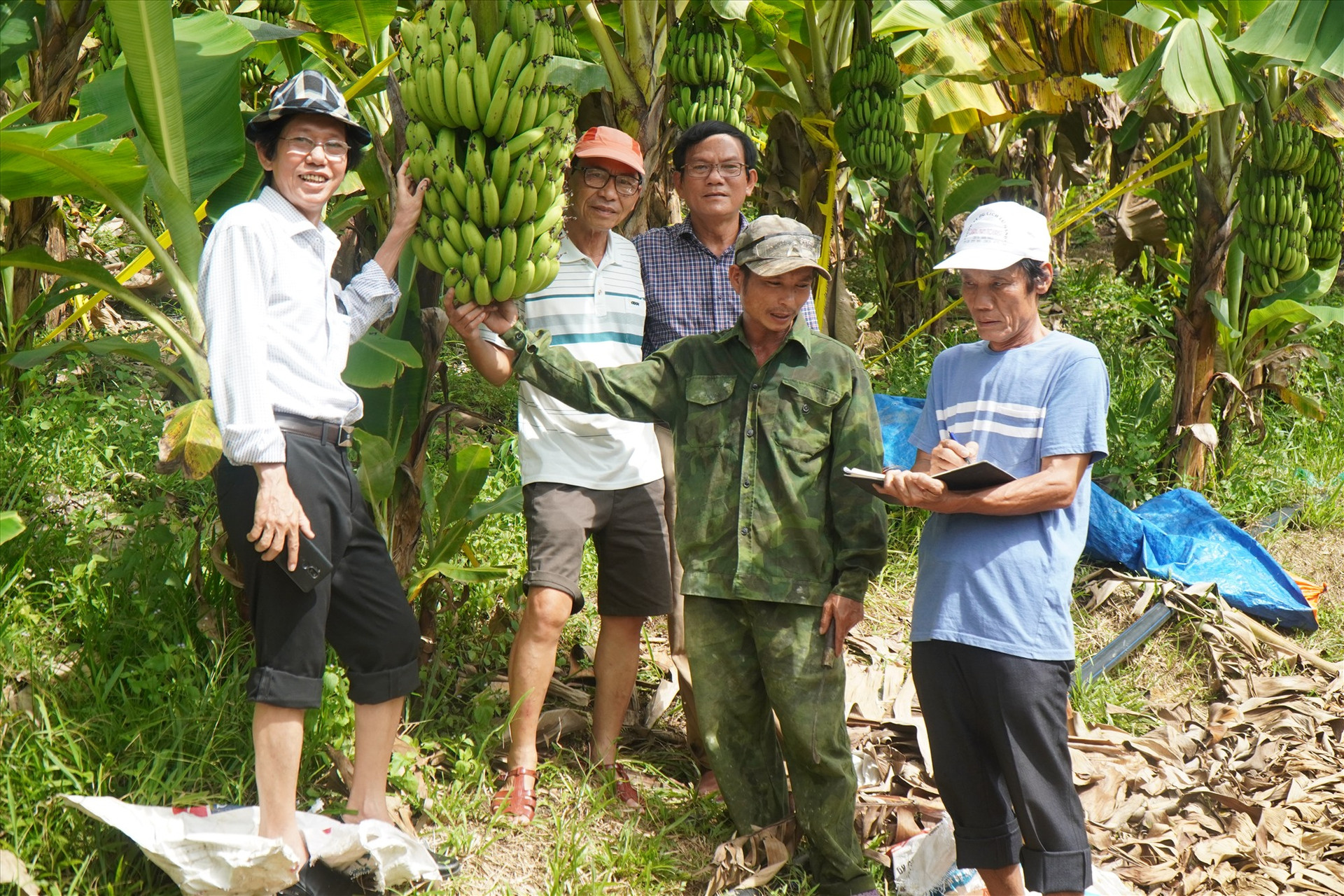 Anh Phan Trường Giang (thư 2 bên phải) giới thiệu mô hình trồng chuối tiêu hồng cho các thành viên CLB. Ảnh NTB