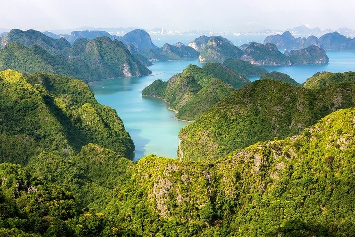 This is the best place to visit if you want to organize cruises and kayaking trips in Lan Ha Bay, which lies off Cat Ba's southern coast.