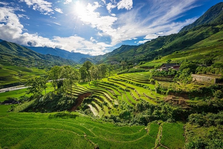 The verdant rice field countryside surrounding Sapa, bordered by the jagged peaks of the Hoang Lien Mountains (often still known by their French colonial era name of the Tonkinese Alps), are home to Vietnam's most beautiful rural vistas.