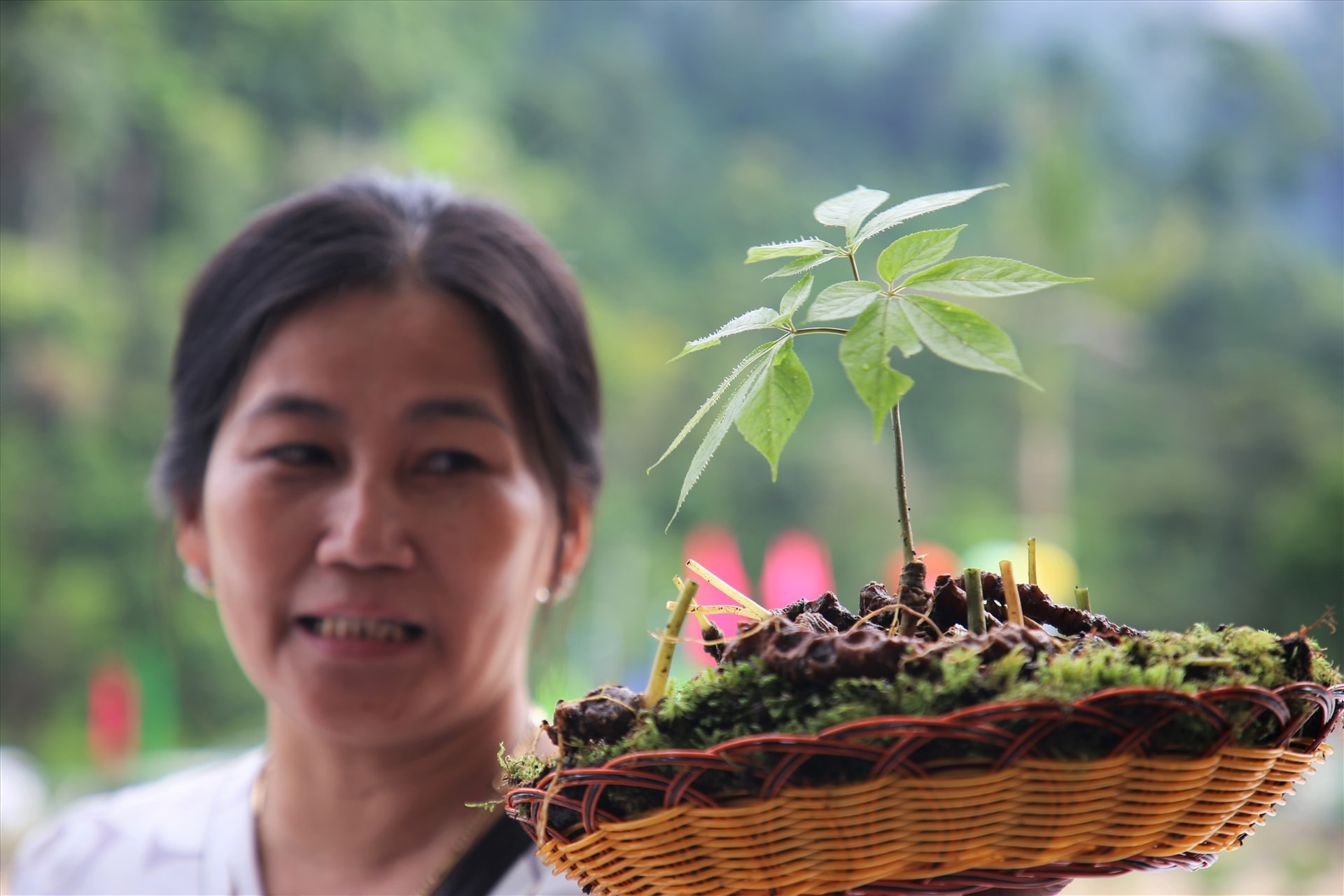 The festival attracts more than 30 stalls of local typical medicinal products, mainly Ngoc Linh ginseng.