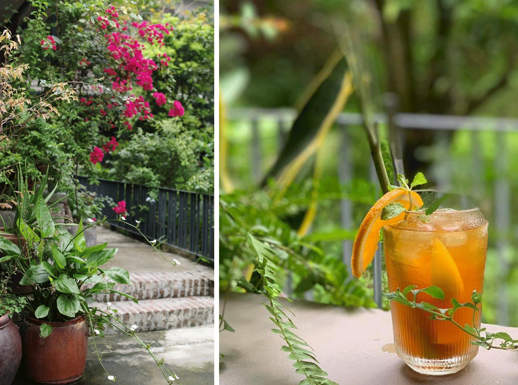 Khung cảnh thiên nhiên và ly trà đào thơm mát giữa không gian của Kaia Garden Café. Ảnh: H.T.V