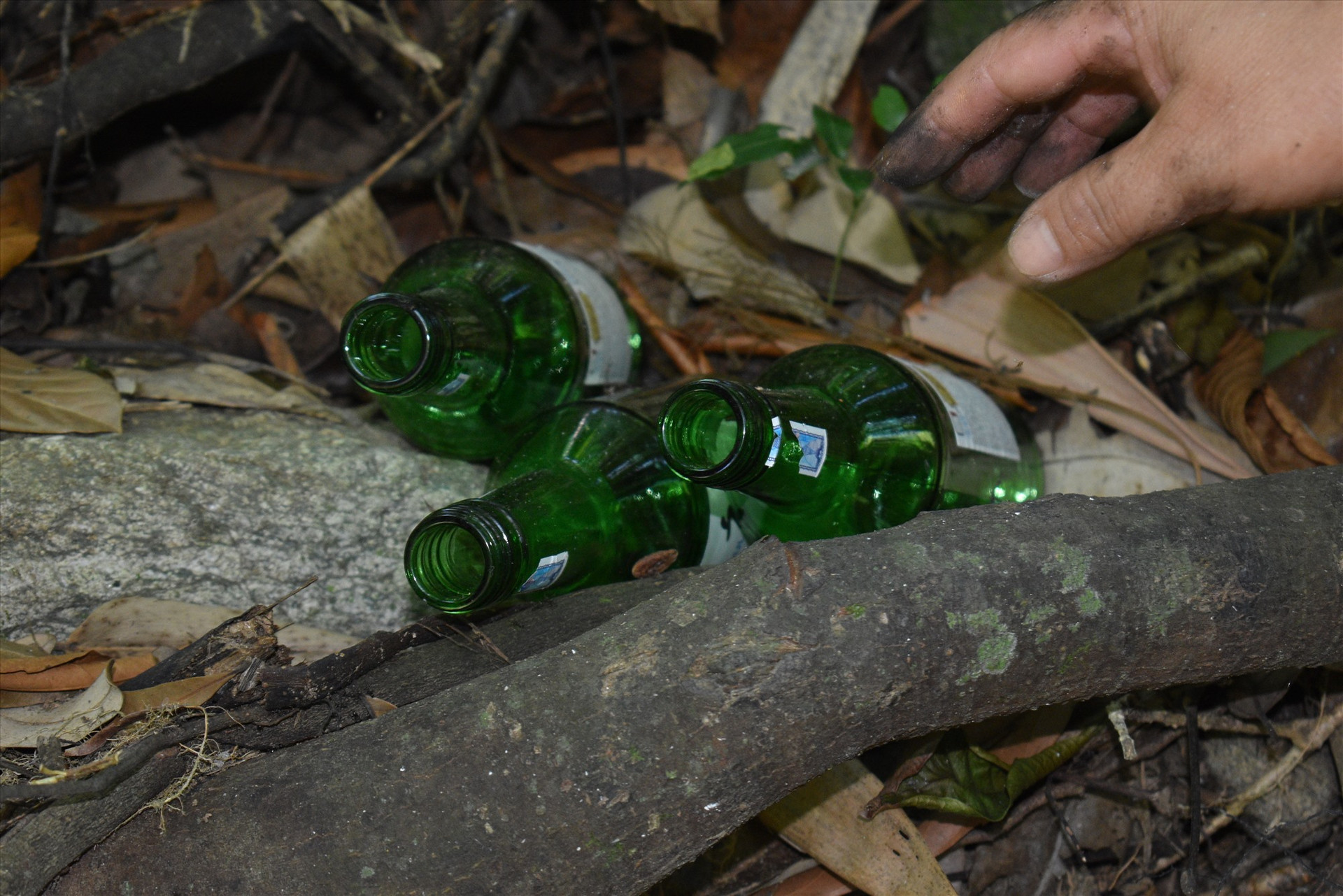 Vỏ chai bia cũng bị vứt tứ tung dọc các tảng đá. Ảnh: N.Q