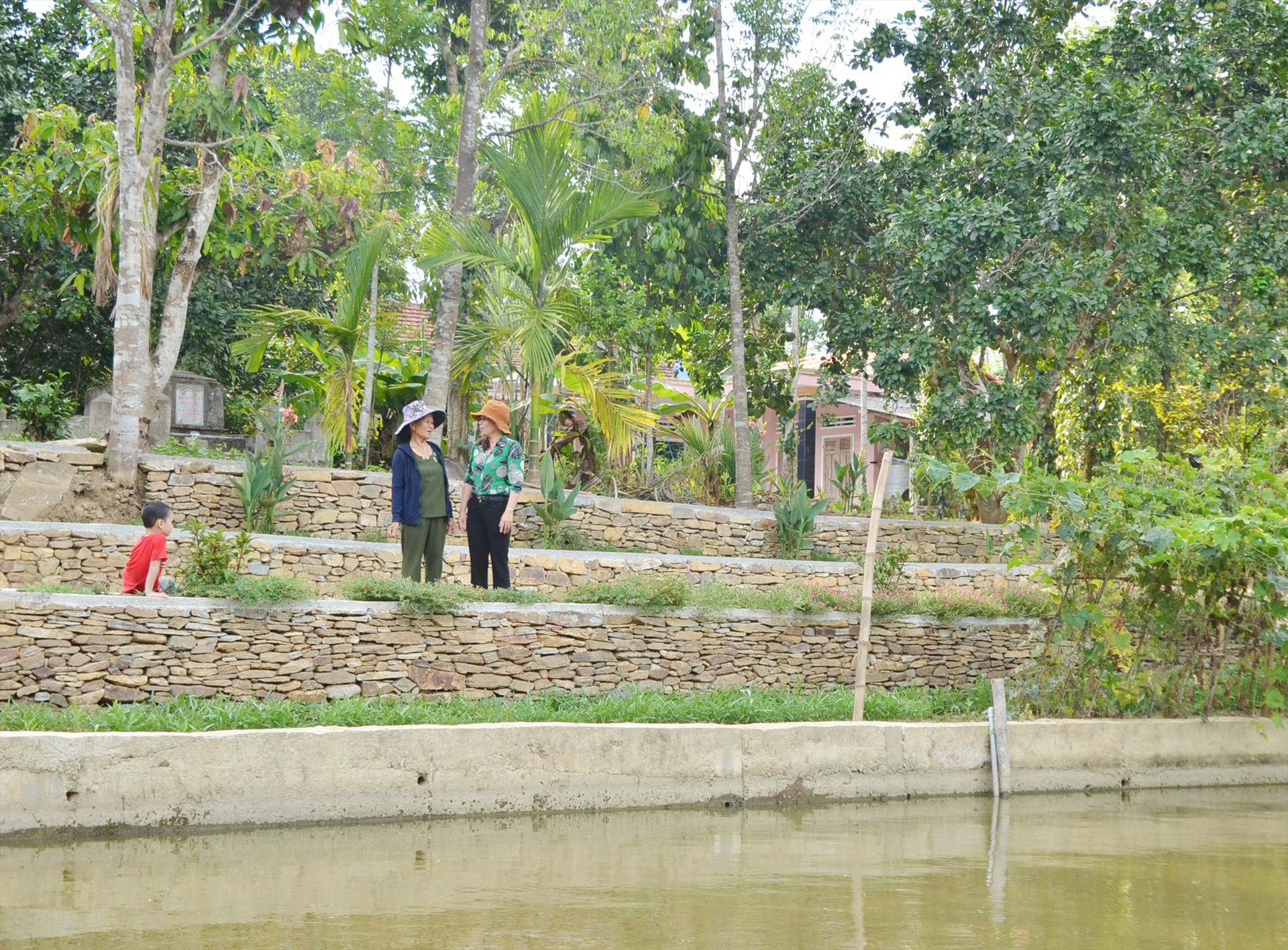 Các vườn cây ăn quả tại làng cổ Lộc Yên sẽ trở thành hạng mục “Vườn tiên” phục vụ nhu cầu tham quan, thưởng thức trái cây tại chỗ của du khách. Ảnh: P.H