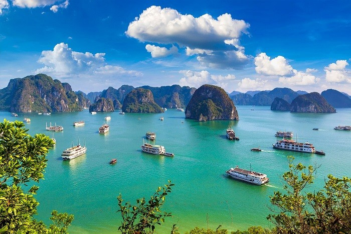 If talking about Vietnam tourism but forgetting to mention Ha Long Bay in Ha Long city, it is a big omission. It is no coincidence that this place is listed by UNESCO as a World Cultural Heritage Site. If you have not yet gone to Ha Long, quickly plan to see with your own eyes the precious gem that nature has bestowed on Vietnam.