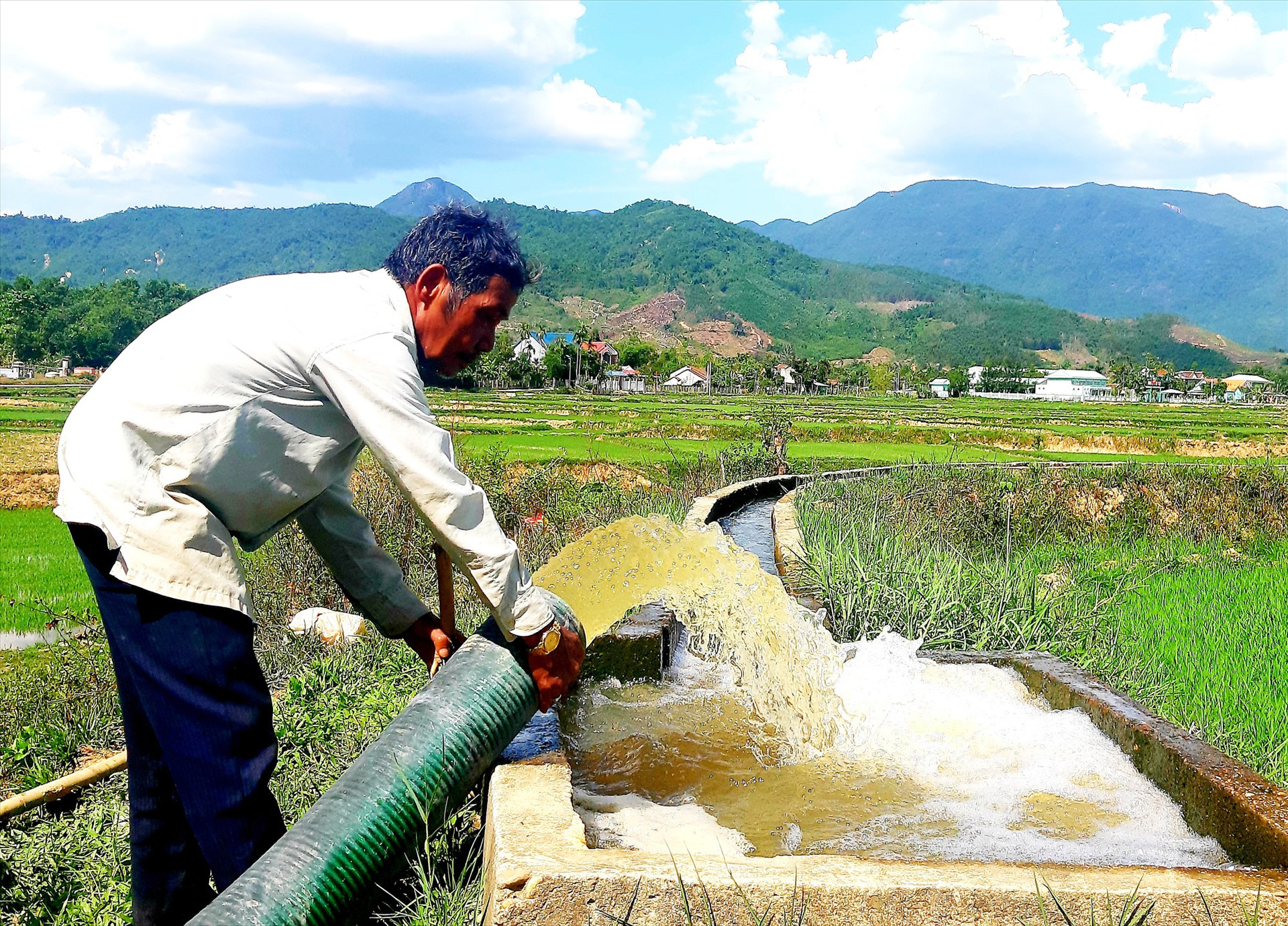 Những năm qua, hầu như vụ hè thu nào huyện Nông Sơn cũng trưng dụng nhiều máy bơm dã chiến để tận dụng mọi nguồn nước chống hạn cho cây trồng. Ảnh: S.A
